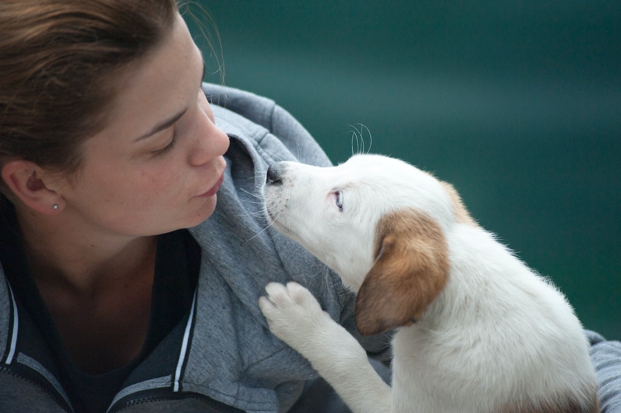 5 Jobs For People Who Want to Work With Animals 5 Jobs For People Who Want to Work With Animals